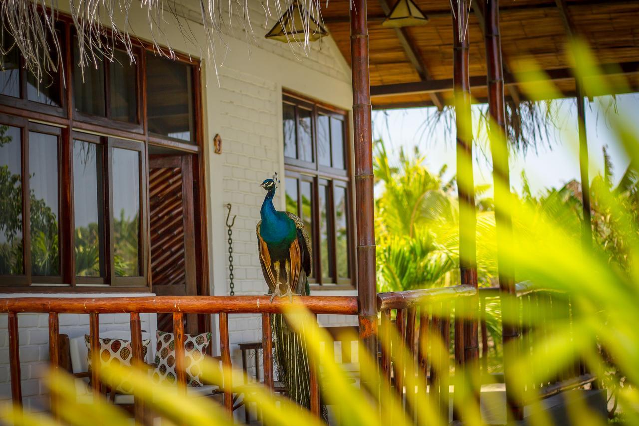 La Choza Bungalows Tambo Grande Luaran gambar